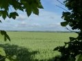 EPSOM - Hill 112  (1)