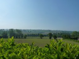 Bluecoat looking towards Perrier Ridge