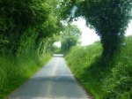 Bocage (4)