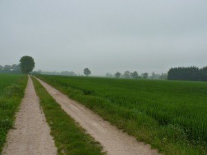 Haut du Bosq looking back (p141)