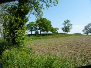 Hill226 error (5)