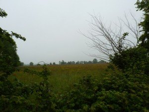 Rauray 5 sided field from A Co HQ
