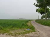 Sunken Lane